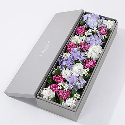 紫色白邊康乃馨8枝、白繡球1枝、藍紫色繡球1枝